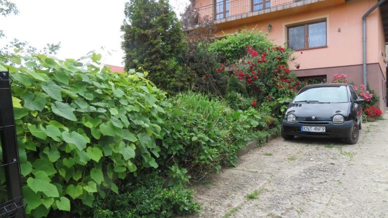 Puchlerska Maria-w (2) (Niestandardowy).JPG