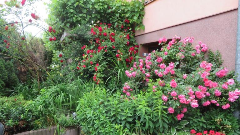 Puchlerska Maria-w (3) (Niestandardowy).JPG