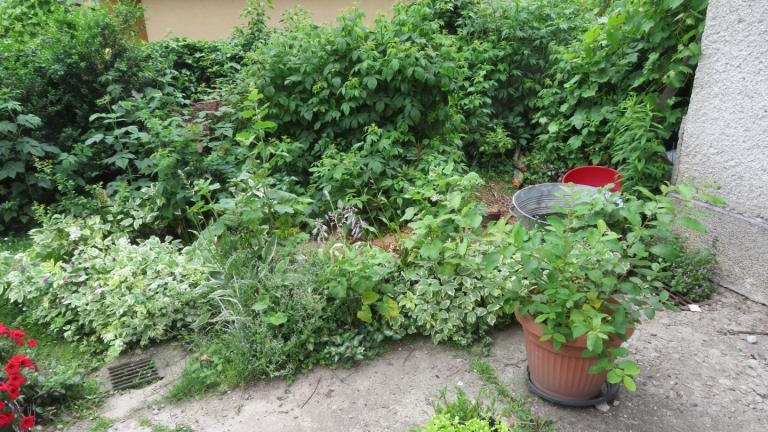 Puchlerska Maria-w (6) (Niestandardowy).JPG