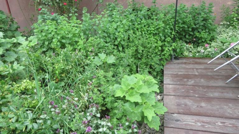 Puchlerska Maria-w (9) (Niestandardowy).JPG