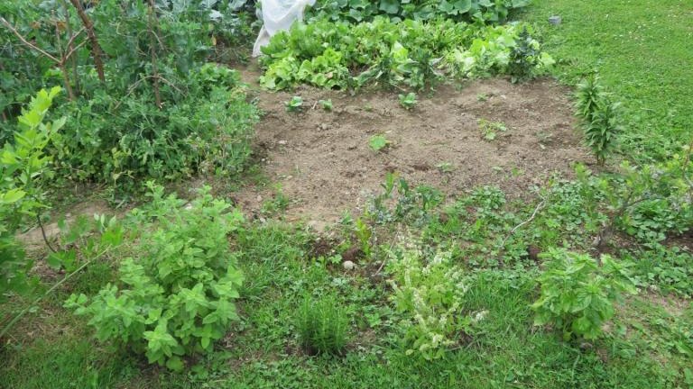 Pulka Beata-w (10) (Niestandardowy).JPG