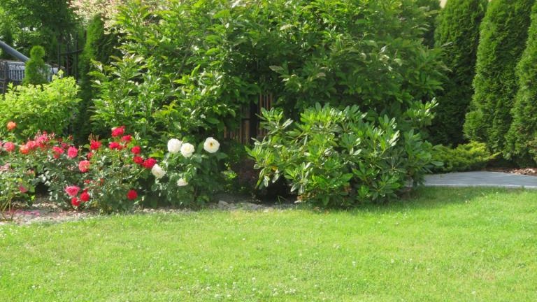 Pulka Beata-w (11) (Niestandardowy).JPG