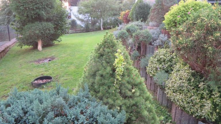 Regiec Lucyna-l (3) (Niestandardowy).JPG