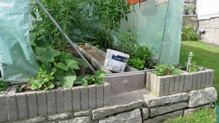 Regiec Lucyna-w (6) (Niestandardowy).JPG