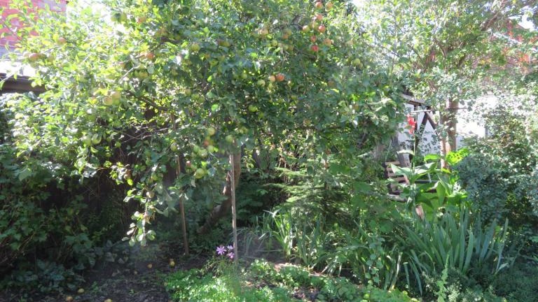 Regiec Maria-l (10) (Niestandardowy).JPG