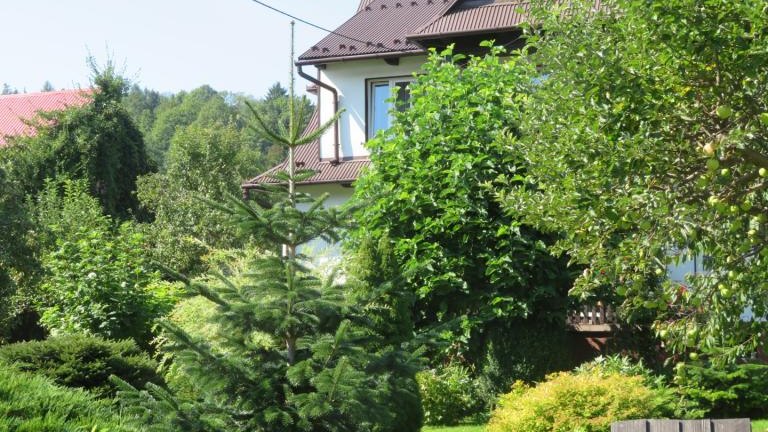 Regiec Maria-l (2) (Niestandardowy).JPG