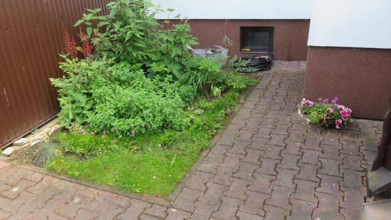 Regiec Maria-w (23) (Niestandardowy).JPG