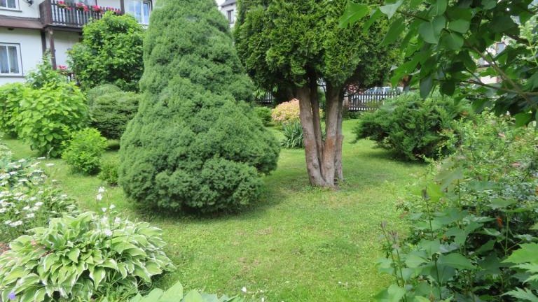 Regiec Maria-w (6) (Niestandardowy).JPG