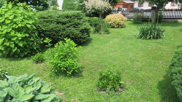 Regiec Maria-w (7) (Niestandardowy).JPG