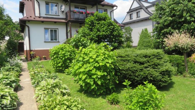 Regiec Maria-w (8) (Niestandardowy).JPG