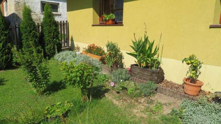 Wach Stanisława-l (3) (Niestandardowy).JPG