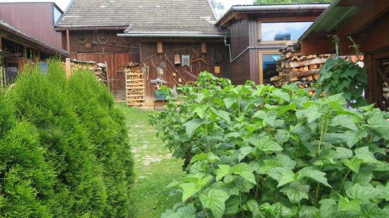 Wach Stanisława-w (15) (Niestandardowy).JPG