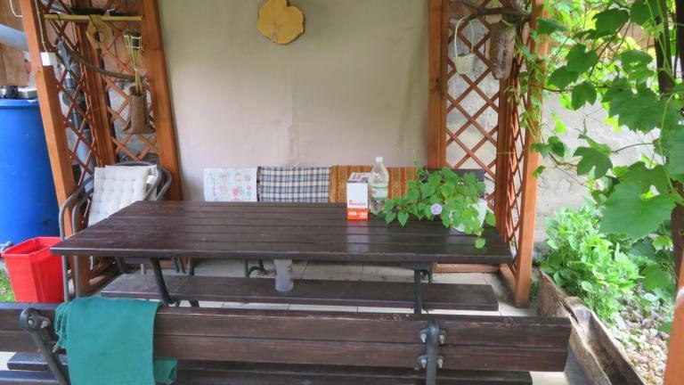 Wach Stanisława-w (17) (Niestandardowy).JPG