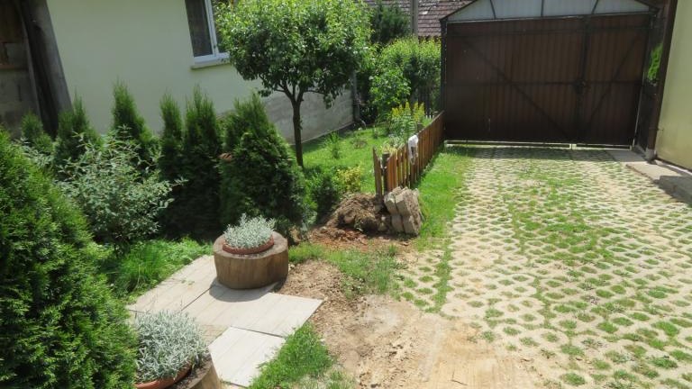 Wach Stanisława-w (21) (Niestandardowy).JPG