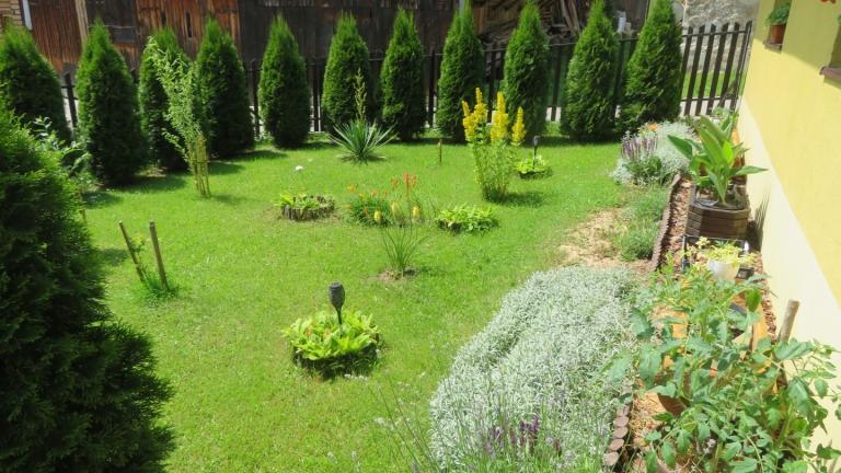 Wach Stanisława-w (5) (Niestandardowy).JPG