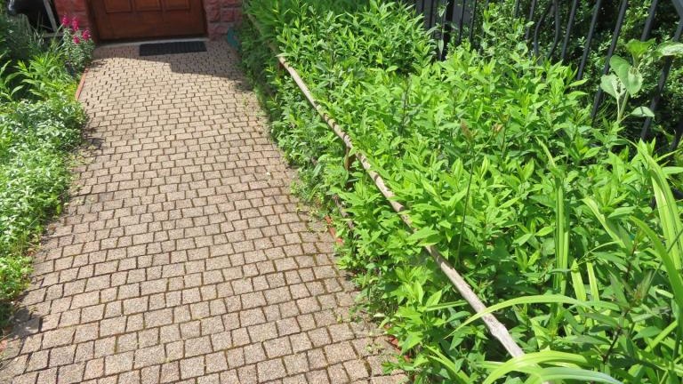 Waradzyn Katarzyna-w (3) (Niestandardowy).JPG