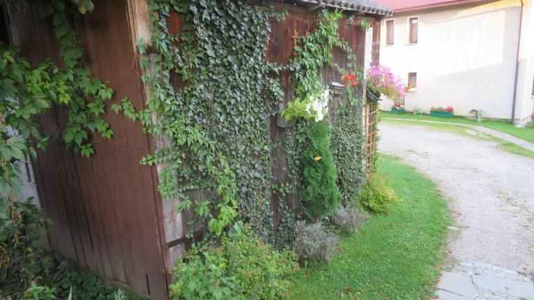 Winczowska Anna-l (2) (Niestandardowy).JPG