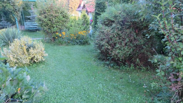 Winczowska Anna-l (9) (Niestandardowy).JPG