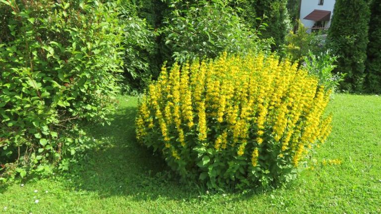 Winczowska Anna-w (8) (Niestandardowy).JPG