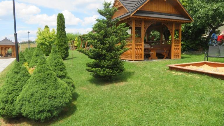 Wolska Anna-w (14) (Niestandardowy).JPG