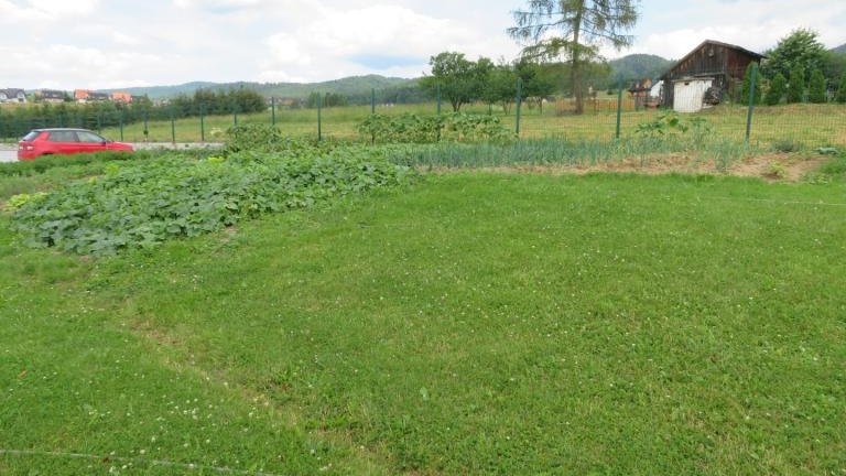 Wolska Anna-w (15) (Niestandardowy).JPG