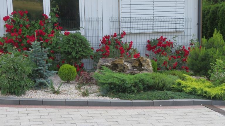 Wolska Anna-w (19) (Niestandardowy).JPG