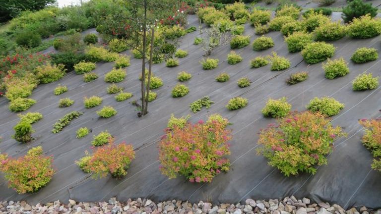 Wolska Anna-w (25) (Niestandardowy).JPG