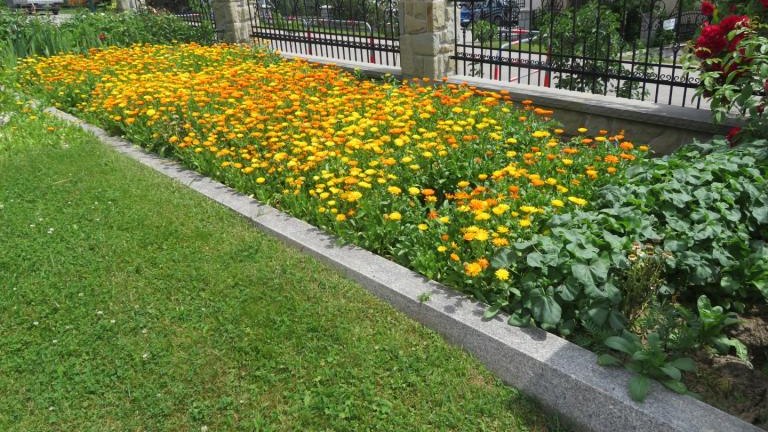 Wolska Anna-w (29) (Niestandardowy).JPG