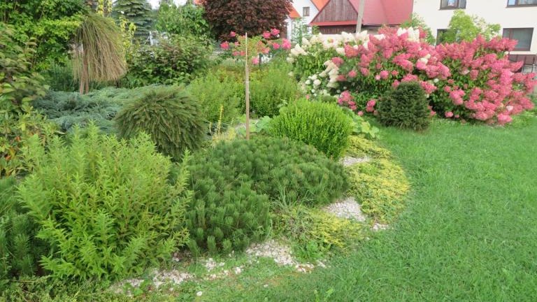 Wolska Lucyna-l (7) (Niestandardowy).JPG