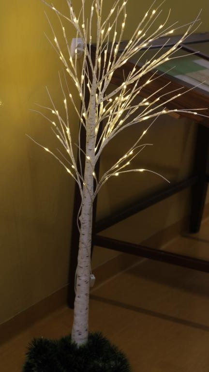 IMG_7832 (Niestandardowy).JPG