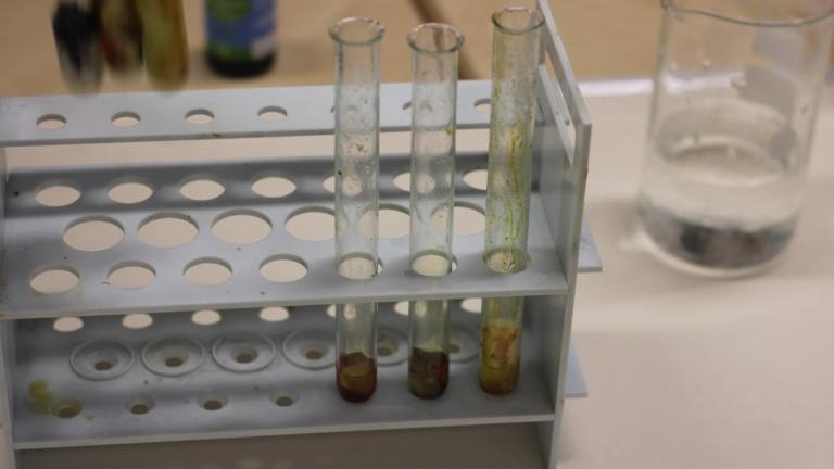 IMG_7839 (Niestandardowy).JPG