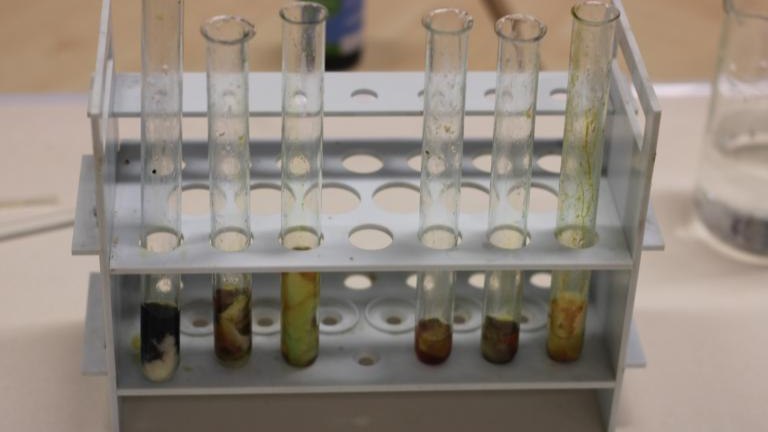 IMG_7840 (Niestandardowy).JPG