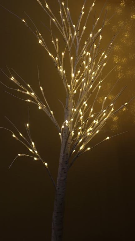 IMG_7854 (Niestandardowy).JPG