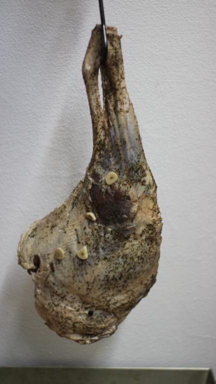 IMG_8061 (Niestandardowy).JPG