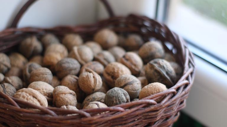 IMG_8086 (Niestandardowy).JPG