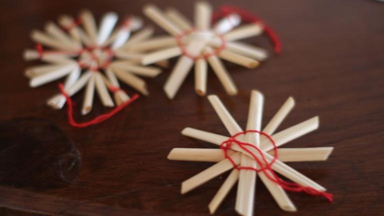 IMG_8100 (Niestandardowy).JPG