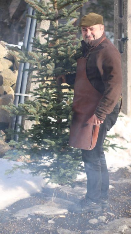 IMG_8115 (Niestandardowy).JPG