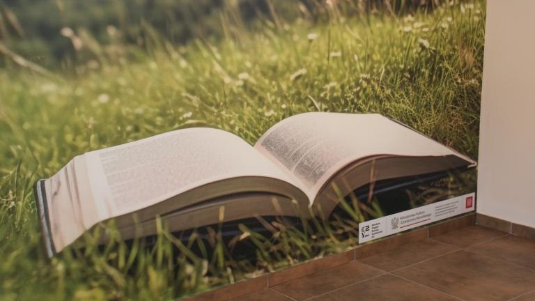 IMG_8482I (Niestandardowy).JPG