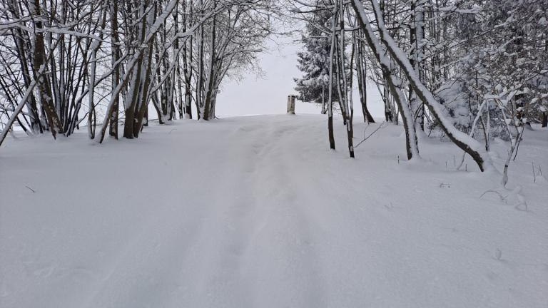 Kulig3 (Niestandardowy).jpg