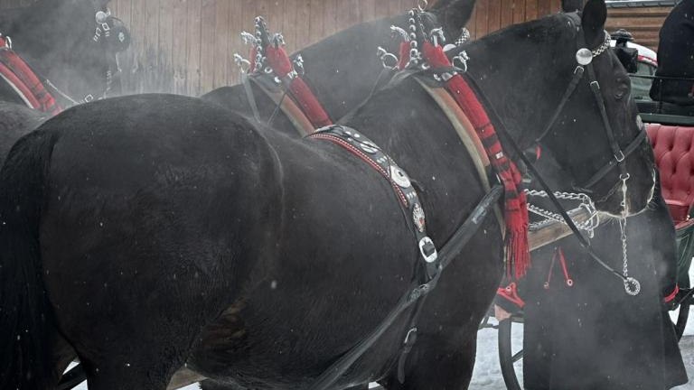 Góralski Karnawał 4 (Niestandardowy).jpeg