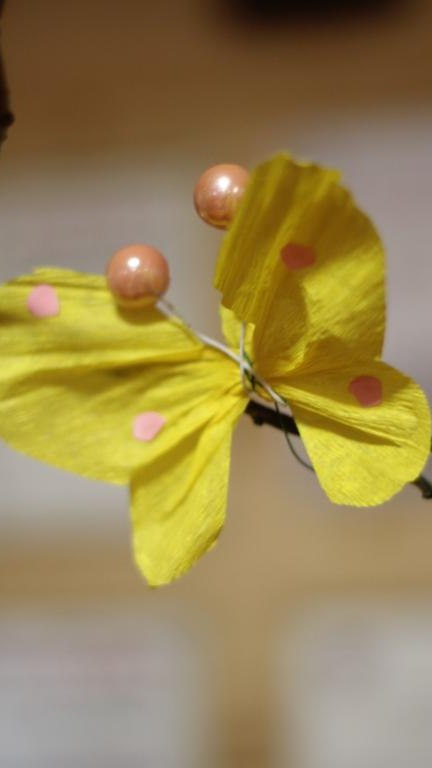 IMG_9351 (Niestandardowy).JPG