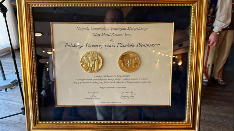 Nagroda Złoty Medal (Niestandardowy).PNG