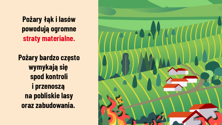 Trawy2 1080x1080 (Niestandardowy).png