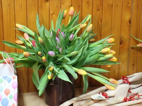 „Coz Teroz Bedzie?” w Kluszkowcach