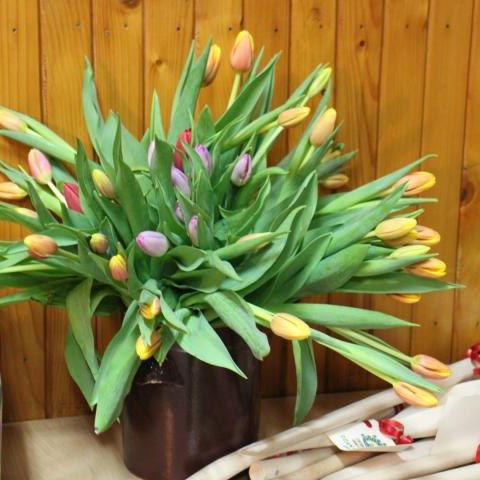 „Coz Teroz Bedzie?” w Kluszkowcach