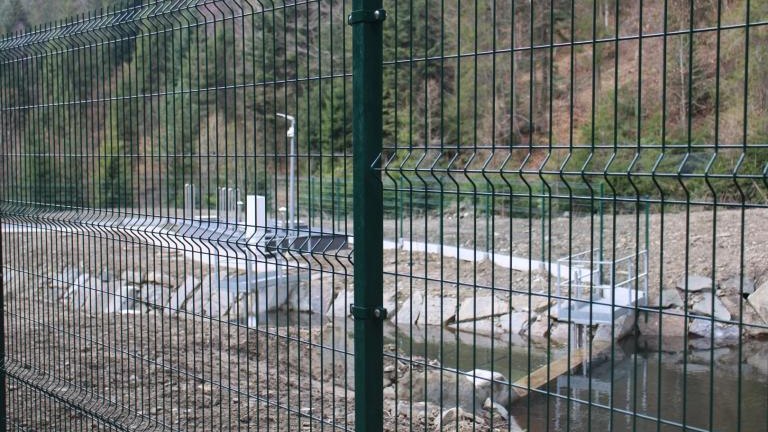 IMG_0294 (Niestandardowy).JPG