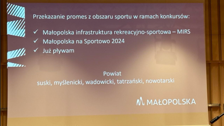 promesa (Niestandardowy).PNG