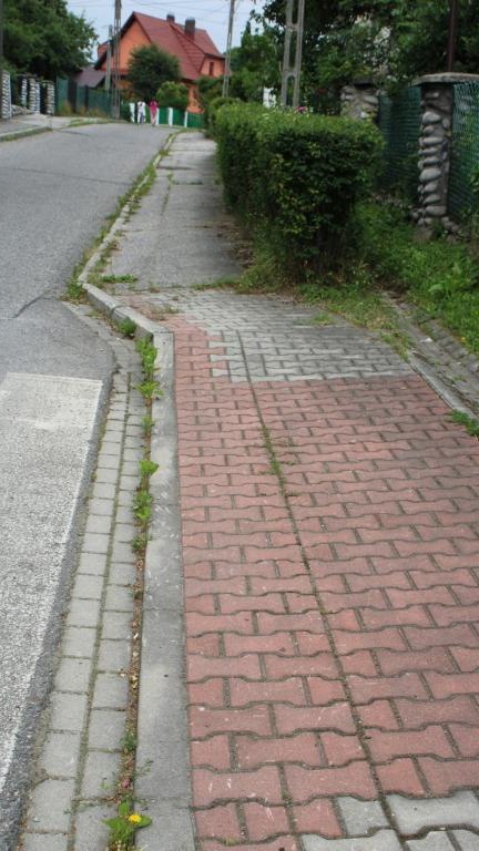 IMG_0217 (Niestandardowy).JPG