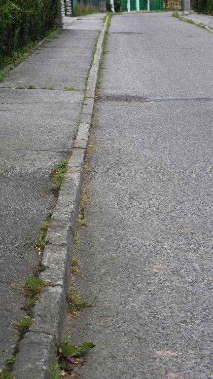 IMG_0219 (Niestandardowy).JPG