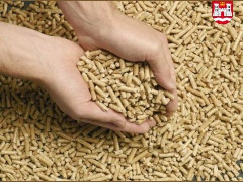 Zawarto umowy na zakup i dostawę opału